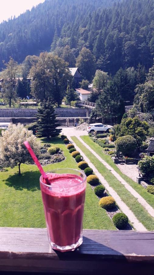 Moje Pieniny Apartment